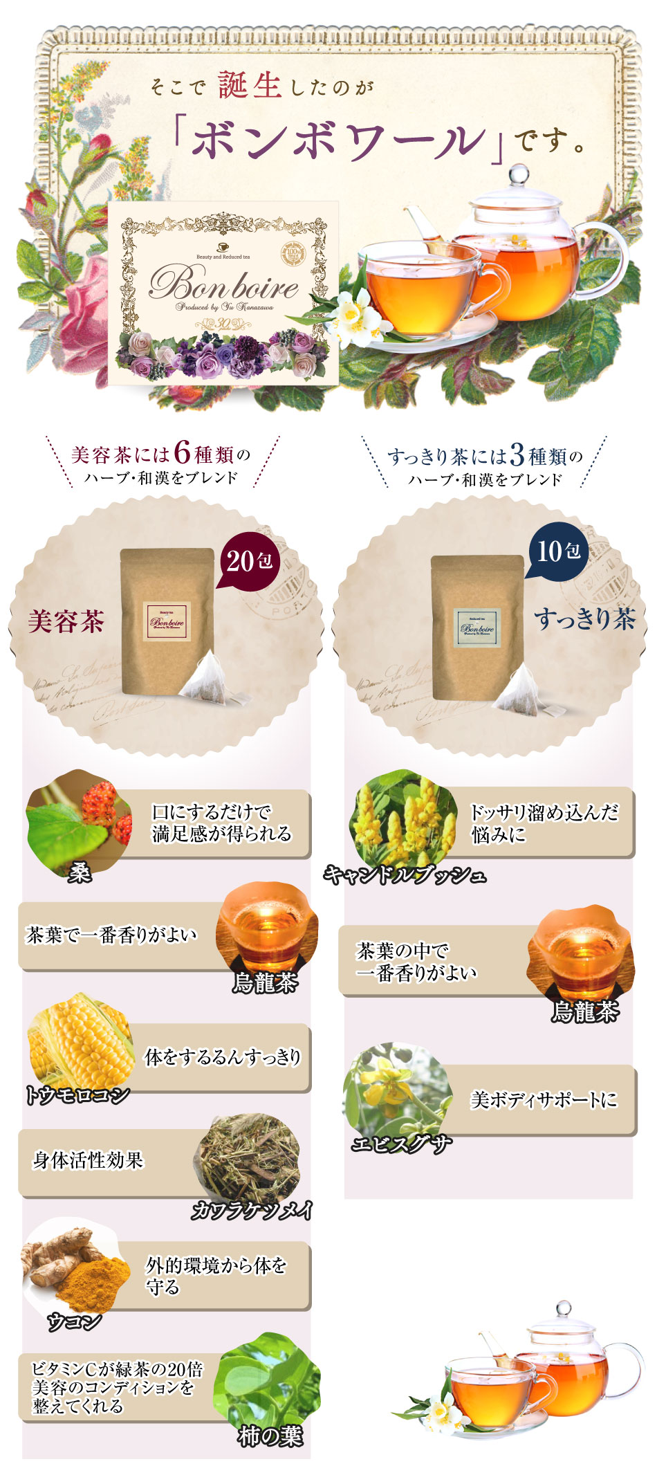 �y����z�{���{���[�����Ă����������������ɍw���ł���̂̓R�R�I